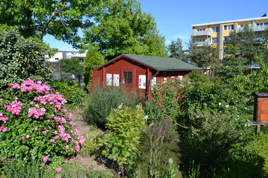 Blütenpracht und Bienenhaus und nebenan Wohnhäuser an der Rheinallee