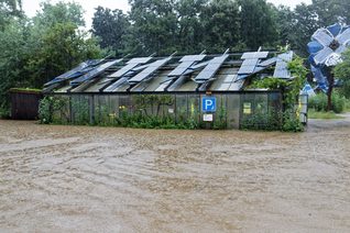Das Gewächshaus im Hochwasser
