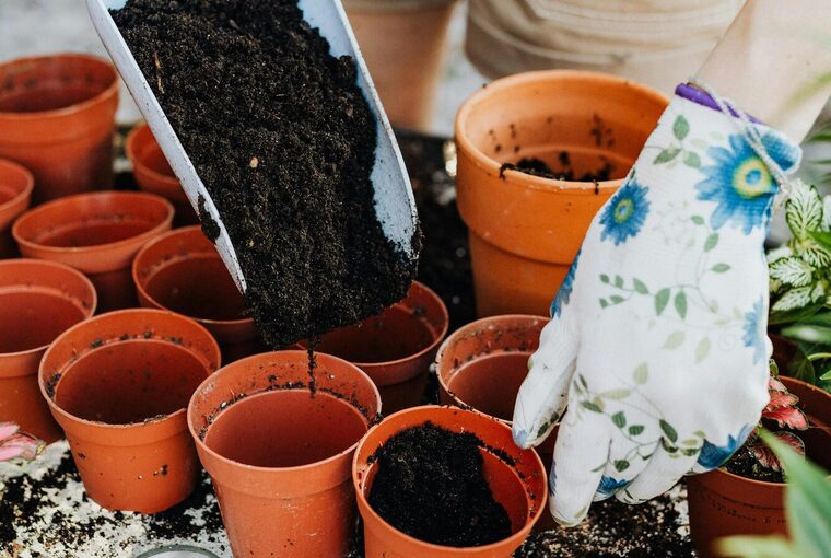 Töpfe werden mit Erde gefüllt