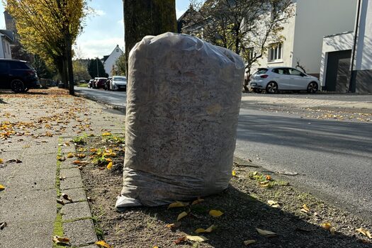 Symbolbild Laubsäcke