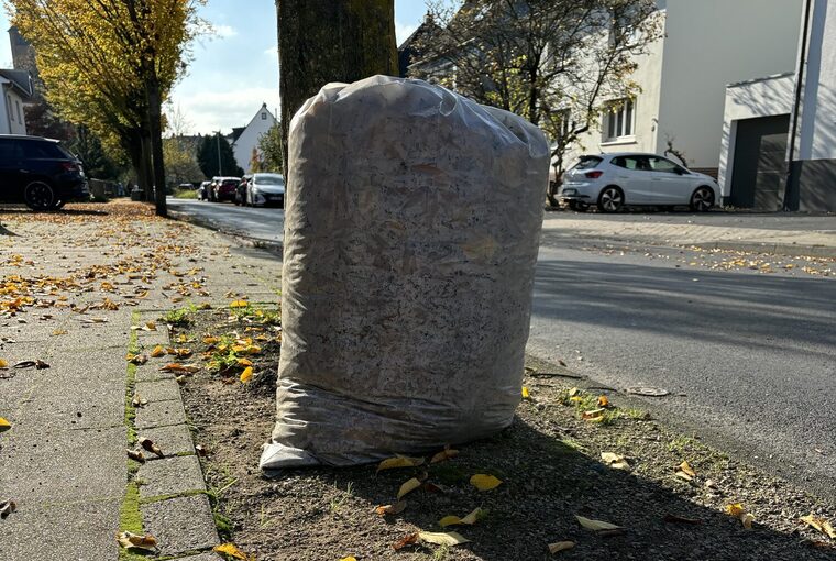 Symbolbild Laubsäcke