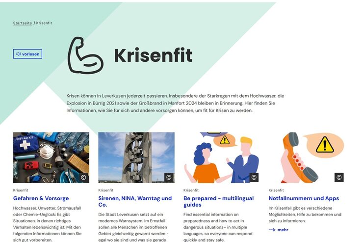 Screenshot Seite Krisenfit (Auszug)