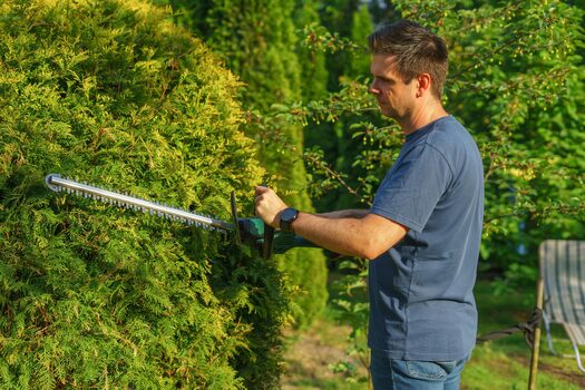 Hecke schneiden