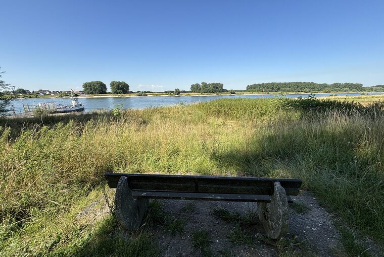 Symbolbild Rhein in Hitdorf