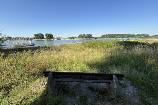 Symbolbild Rhein in Hitdorf