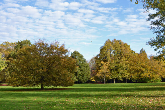 Die Parkanlage im Herbst mit buntem Laub